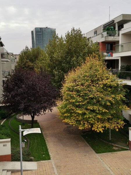 Dorobanti, Washington Residence, 5 camere, mobilat, terase 28mp