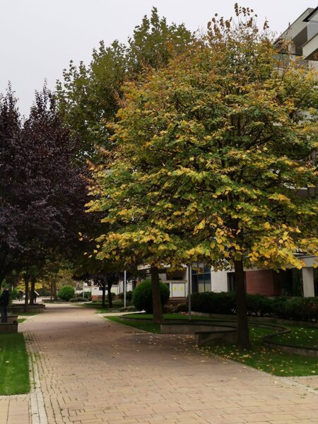 Dorobanti, Washington Residence, 5 camere, mobilat, terase 28mp